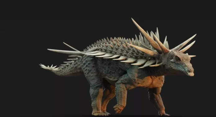 spicomellus-1