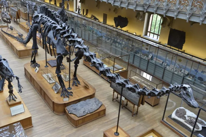 Parisi-Mouseio-Fysikis-Istorias-1024x681