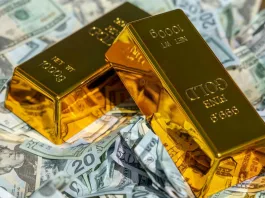 Άνδρας έσκαβε πισίνα στον κήπο του και ανακάλυψε ράβδους χρυσού αξίας 700.000 ευρώ