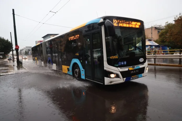 6765074-1024x683