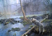 40 χρόνια Τσερνόμπιλ: Οι «αριθμοί», το χρονολόγιο και οι πέντε μύθοι που «στοιχειώνουν» την αλήθεια
