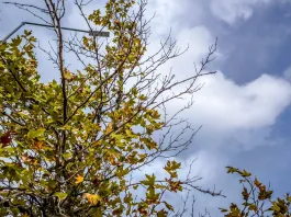 Συννεφιά, βροχές και αφρικανική σκόνη σήμερα, πότε ξεκινούν τα 30άρια