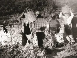 Η θεατρική ομάδα Ραφήνας παρουσιάζει τον Λιολά (li o la) του Πιραντέλλο