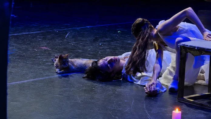 maketa-gata-theatro