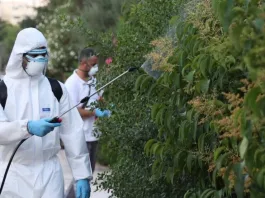 Ιός Δυτικού Νείλου: 42 περιστατικά στην Ελλάδα – Έντονη δραστηριότητα στην Αττική