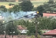 Κεραυνός χτύπησε πλάτανο κοντά σε φωλιά πελαργών στον Πλάτανο Τρικάλων
