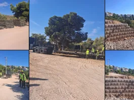 Δ. Τσεβά: Η γέφυρα Bailey τοποθετείται στην Καλλιτεχνούπολη
