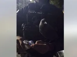 Το κοράκι που «εντάχθηκε» στη ΔΙΑΣ – Η τρυφερή ανάρτηση της ΕΛ.ΑΣ. για την Παγκόσμια Ημέρα των Ζώων